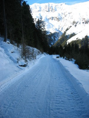 Rodelbahn Brandstatt Alm 03.jpg