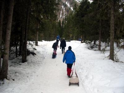 Rodelbahn Gleirschalm 01.jpg