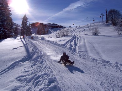 Rodelbahn Söll 01.jpg