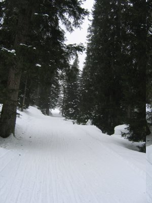 Rodelbahn Lindauer Hütte 01.jpg