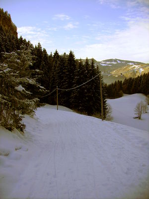 Rodelbahn Gschwend 2008-12-09.jpg