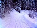 Rodelbahn Birgitzer Alm Lang 01.jpg