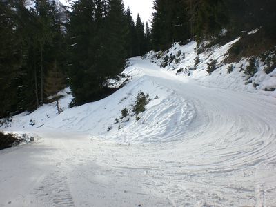 Rodelbahn Elfer Pinnistal 20100124.JPG