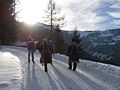 Rodelbahn Haagalm 01.jpg