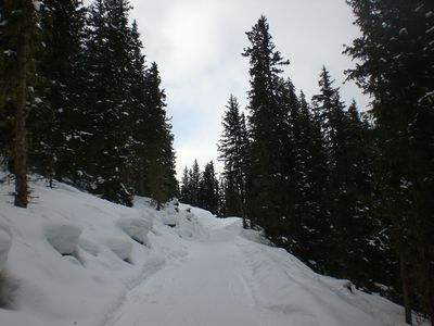 Rodelbahn Pleisenhuette 20100315.JPG