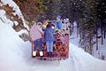 Rodelbahn Götzner Alm 02.jpg