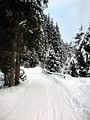 Rodelbahn Fotsch Bergheim 01.jpg