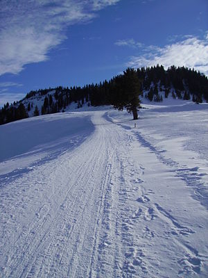 Rodelbahn Hochhäderich (Falkenhütte) 2009-01-17.JPG