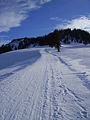 Vorschaubild der Version vom 17. Januar 2009, 18:58 Uhr