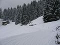 Rodelbahn Brüggelekopf 01.jpg
