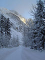 Rodelbahn Halltal 02.jpg