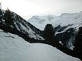 Rodelbahn Juifenalm 01.jpg