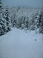 Rodelbahn Sistranser Alm 01.jpg