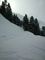 Rodelbahn Fotsch Potsdamer 01.jpg