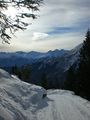 Vorschaubild der Version vom 4. Januar 2011, 20:07 Uhr