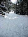 Rodelbahn Lehnberghaus 01.jpg