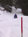 Rodelbahn Simmeringalm 01.jpg