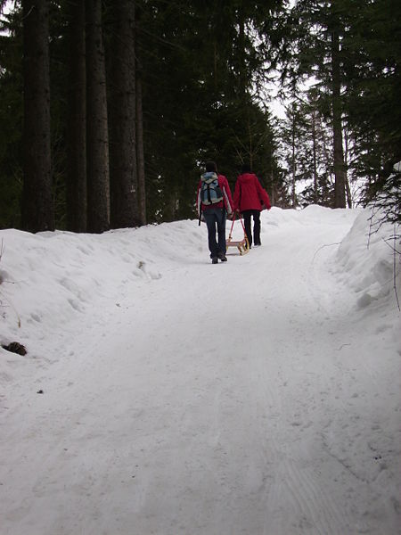 Datei:Rodelbahn Bödele 2009-01-18.JPG