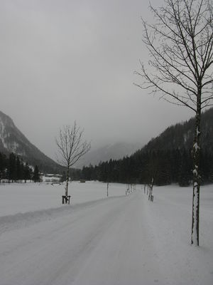 Rodelbahn Feilalm 2010-01-30.jpg