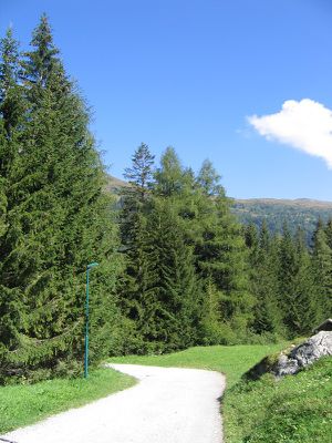 Rodelbahn Obernberger See 2007-08-25.jpg